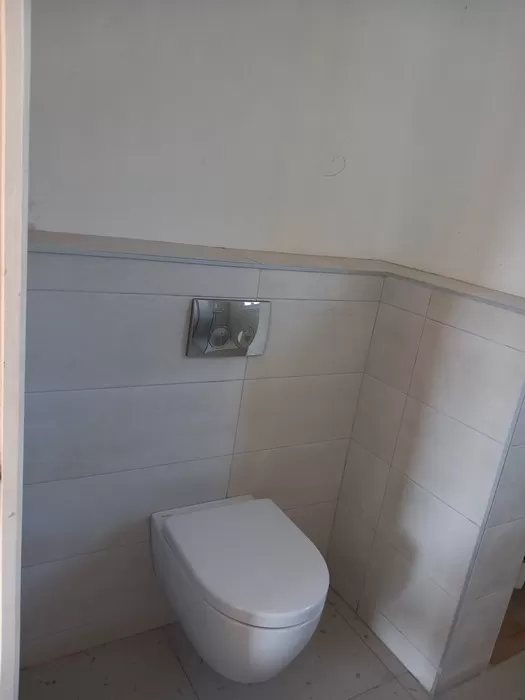Pose de toilettes, Saint-Martin-de-Valgalgues, LD PLOMBERIE